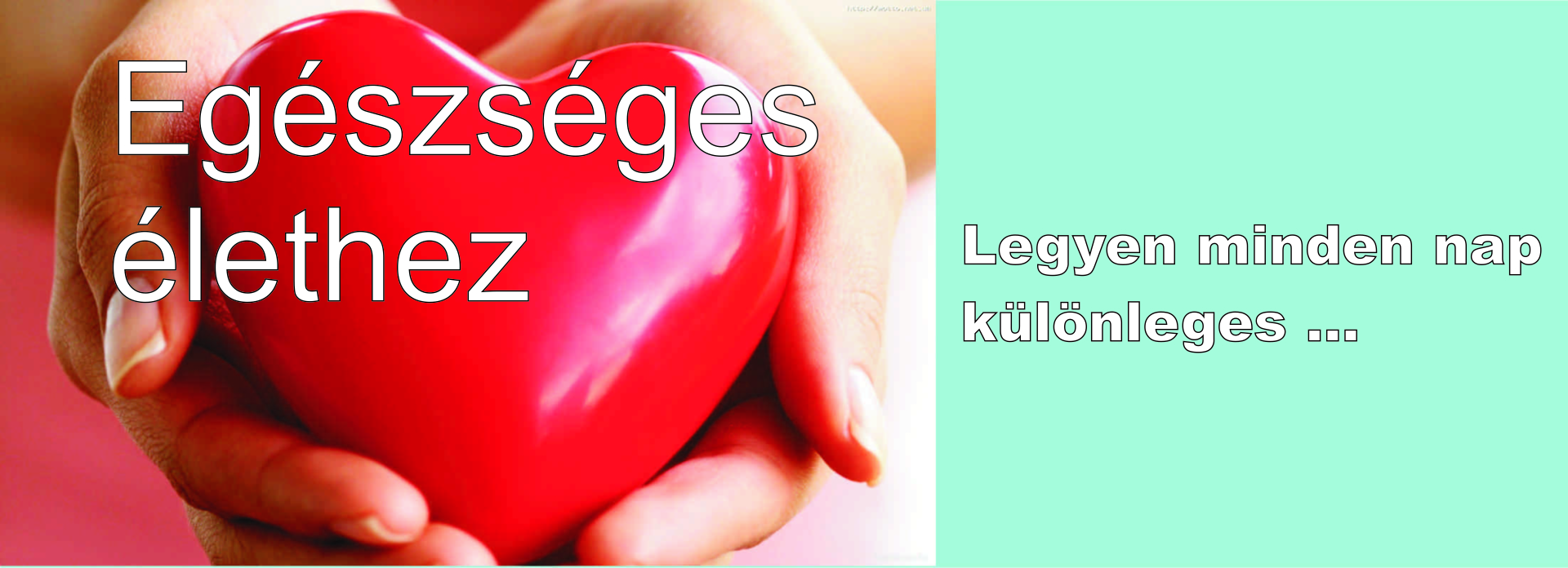 Felületkezelő szerek szaküzlete