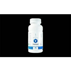 ProImmuno - a COVID-19 legyőzésére