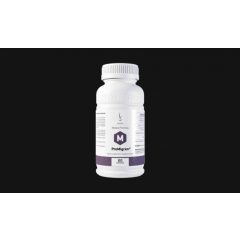 ProMigren - a migrén ellen